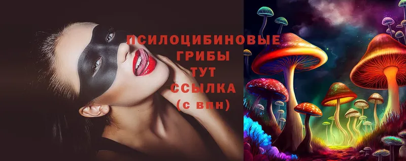 продажа наркотиков  Байкальск  Галлюциногенные грибы Cubensis 